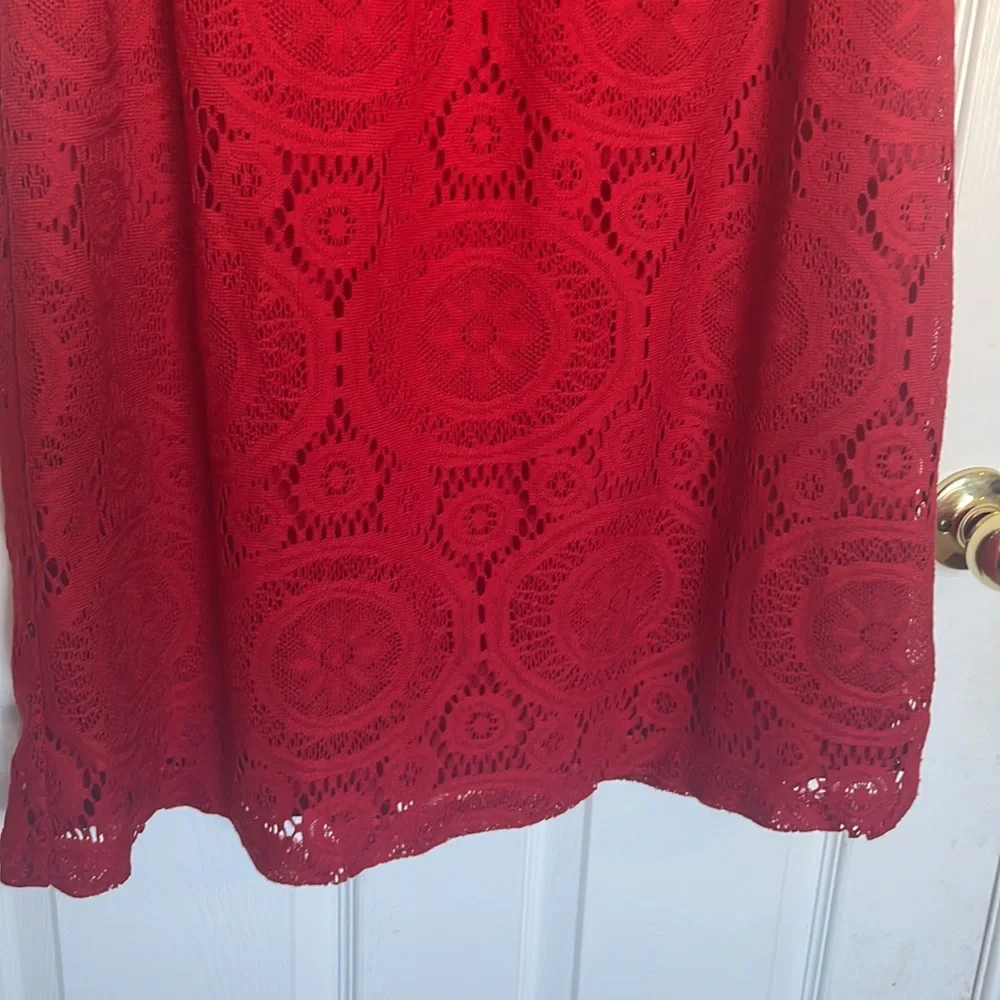 Rabbit Rabbit Rabbit red lace shift dress - Picture 9 of 10